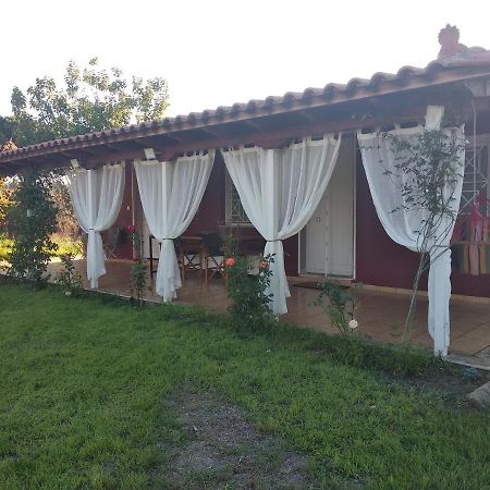 Olive Garden Guest House كيوبارِسِيا المظهر الخارجي الصورة