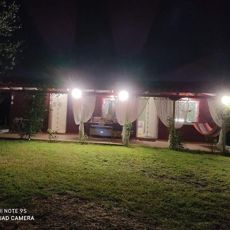 Olive Garden Guest House كيوبارِسِيا المظهر الخارجي الصورة