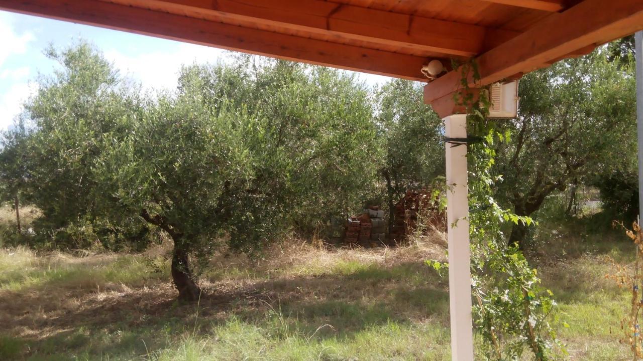 Olive Garden Guest House كيوبارِسِيا المظهر الخارجي الصورة