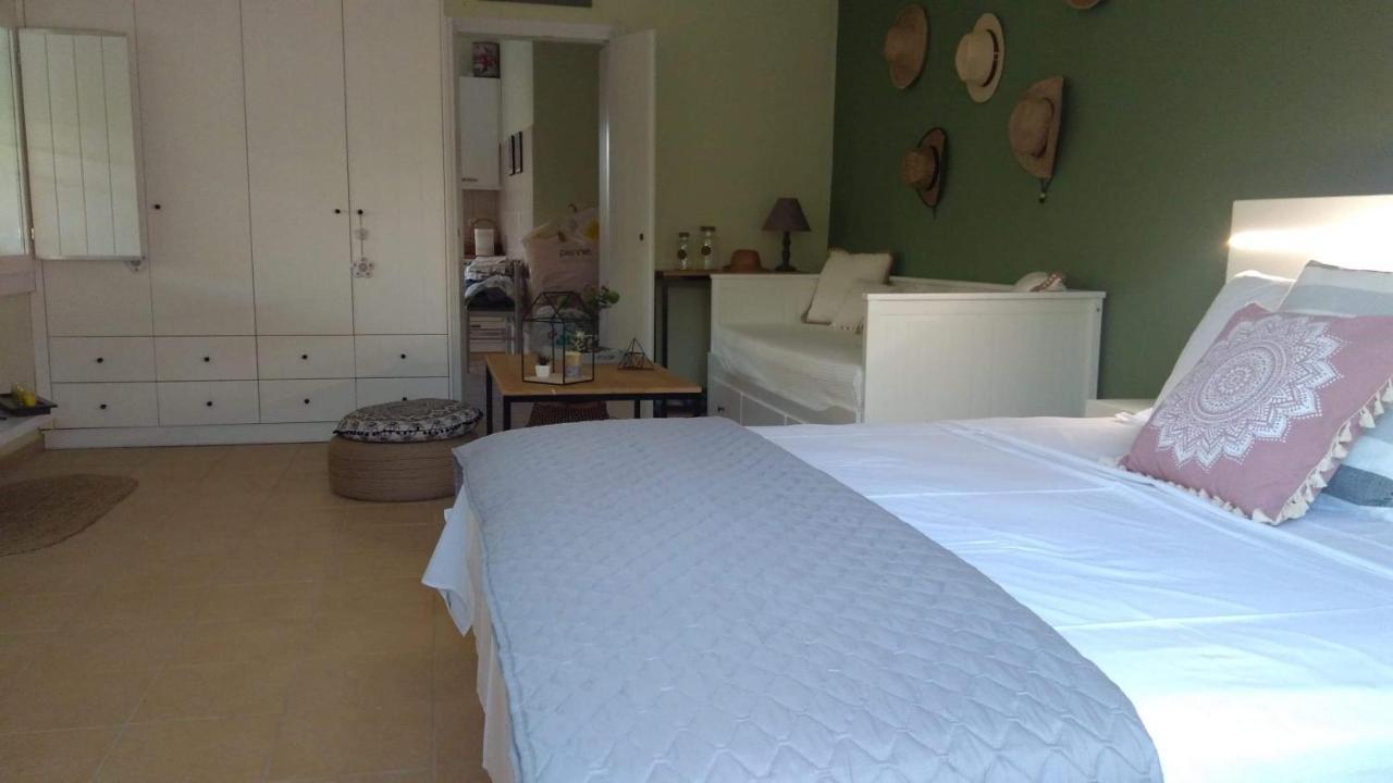 Olive Garden Guest House كيوبارِسِيا المظهر الخارجي الصورة