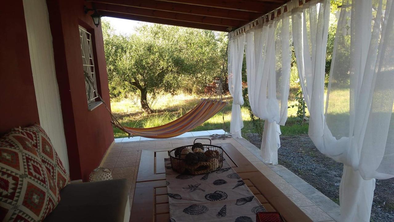Olive Garden Guest House كيوبارِسِيا المظهر الخارجي الصورة