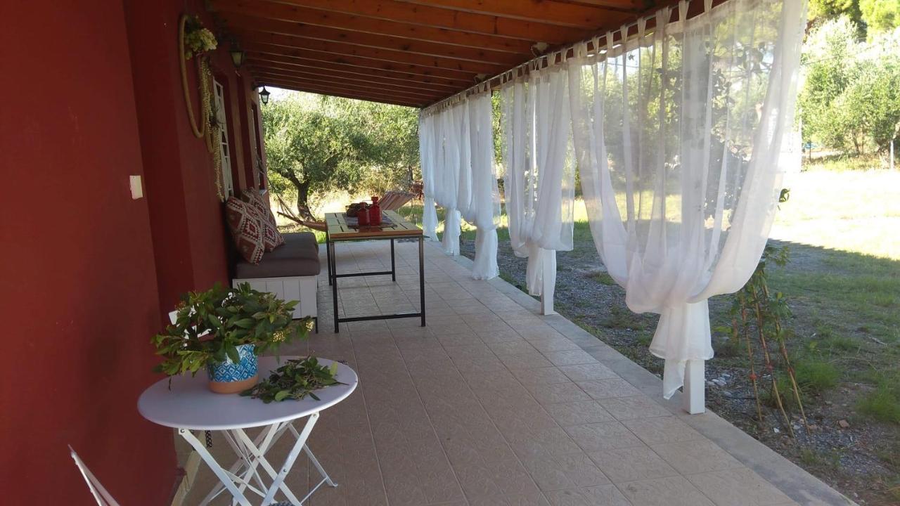 Olive Garden Guest House كيوبارِسِيا المظهر الخارجي الصورة