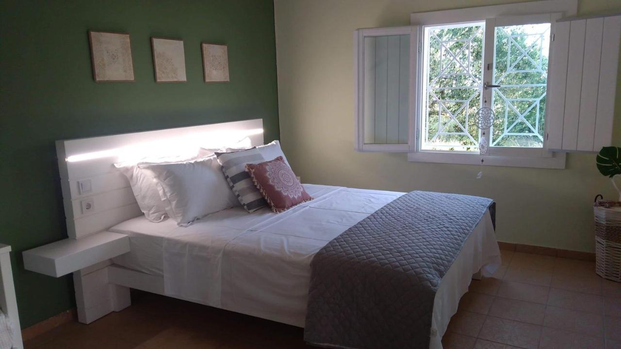 Olive Garden Guest House كيوبارِسِيا المظهر الخارجي الصورة