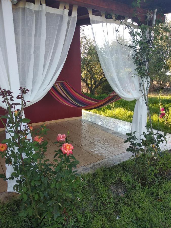 Olive Garden Guest House كيوبارِسِيا المظهر الخارجي الصورة