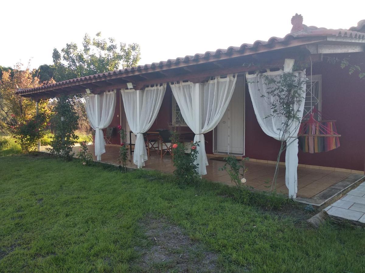 Olive Garden Guest House كيوبارِسِيا المظهر الخارجي الصورة